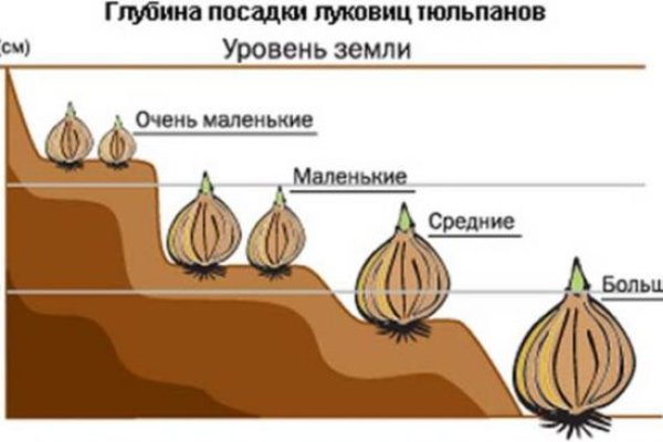 Ссылка официальный сайт кракен