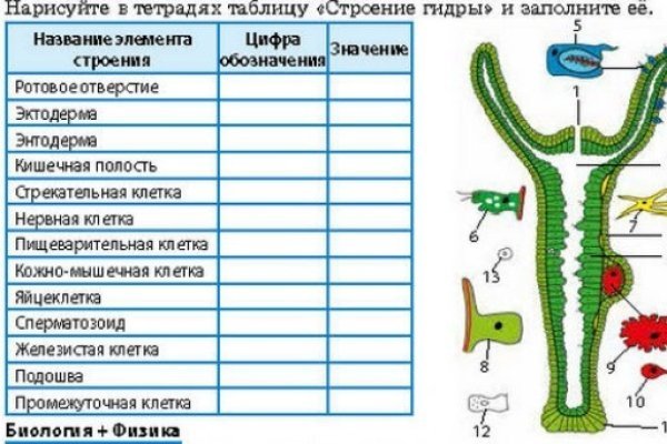 Кракен сайт продаж