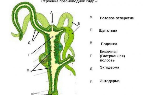 Кракен новый маркетплейс